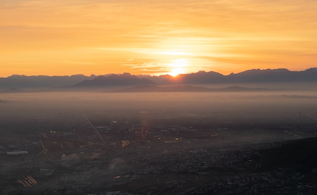 lions head view